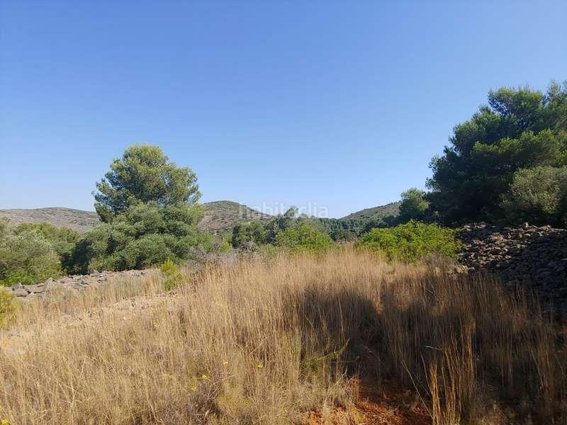 Foto 925c2433-1e9e-48ec-9dd7-bc668cd5027b. Fondo rustico in Benissa pueblo Benissa