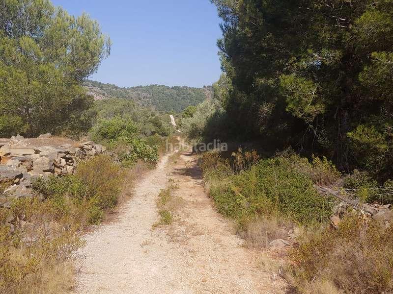 Foto 97157cfc-43e3-41e0-8465-c8ab222f53a7. Fondo rustico in Benissa pueblo Benissa