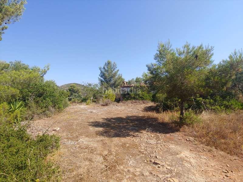 Foto b63017c9-d573-4b20-97a4-fc08a6c0091f. Fondo rustico in Benissa pueblo Benissa