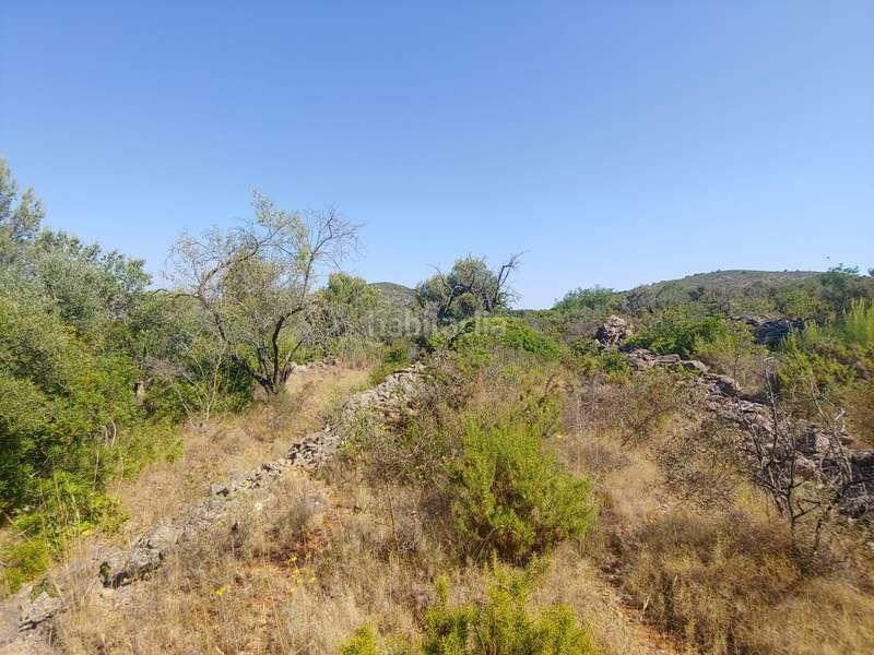 Foto e2723532-ef2f-4144-b7bc-219cc5de1d65. Fondo rustico in Benissa pueblo Benissa