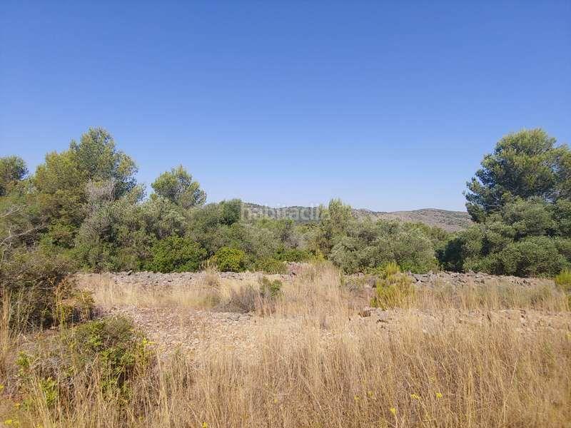 Foto 3ac89076-289d-4b85-b2b0-13fcaa65989c. Rural plot in Benissa pueblo Benissa