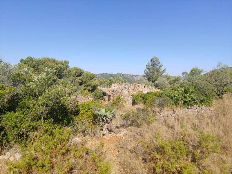 Foto 4e6c7a76-77ac-4cfc-bb6c-24aba1bc3622. Rural plot in Benissa pueblo Benissa