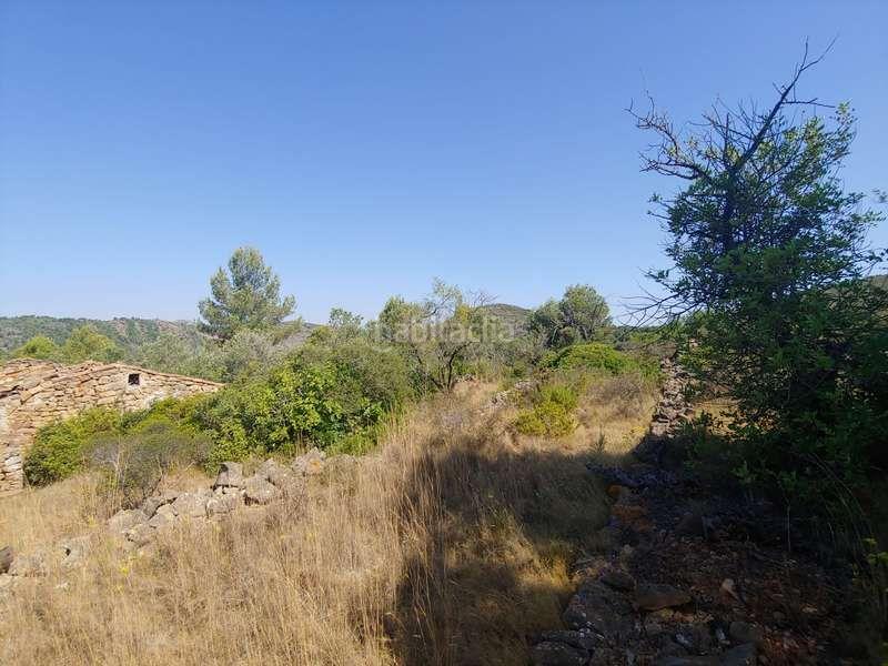 Foto 7f6cb4c5-4e0c-4c72-8cbd-39a70753084f. Rural plot in Benissa pueblo Benissa