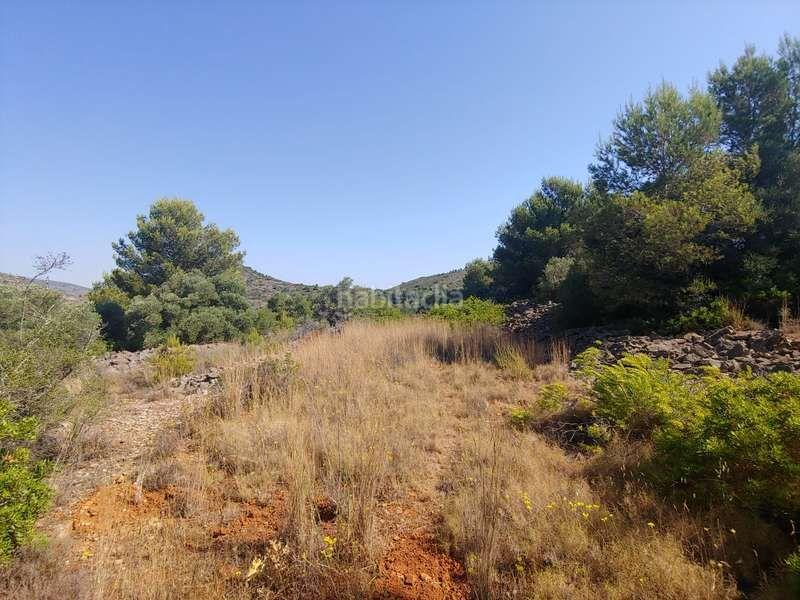 Foto cd51c554-46d9-4623-9a03-38e03355280b. Rural plot in Benissa pueblo Benissa