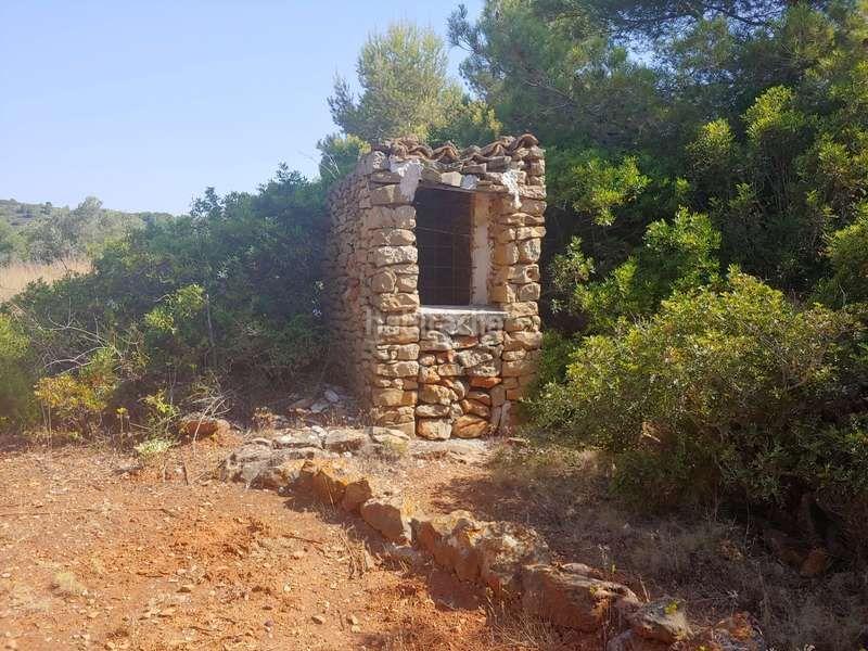 Foto f23a4900-9176-41cf-875d-3b1384c9c69d. Rural plot in Benissa pueblo Benissa