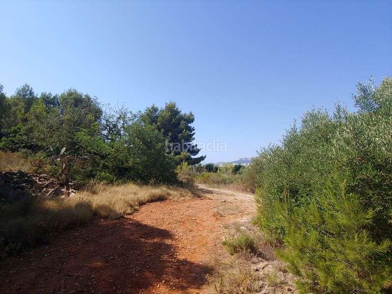 Foto fa76e805-58d4-4994-8564-13273d13672f. Rural plot in Benissa pueblo Benissa