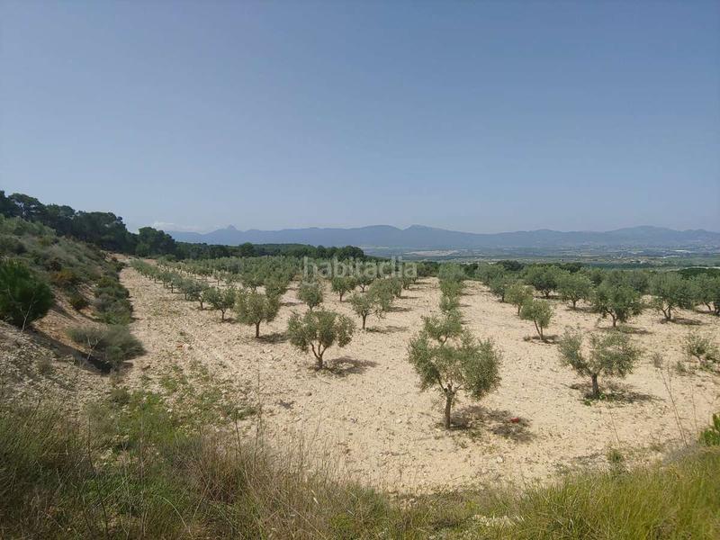 Foto b76693b7-dbd2-40a9-9325-c34fcc191c8f. Masia a Castalla