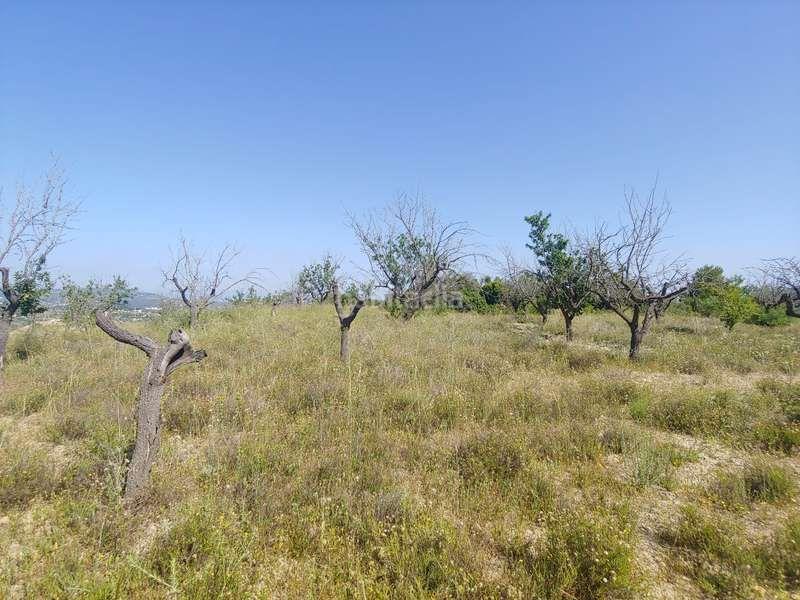 Foto 081a61e4-ef3c-4a54-834b-25495d759172. Rural plot in Benissa pueblo Benissa