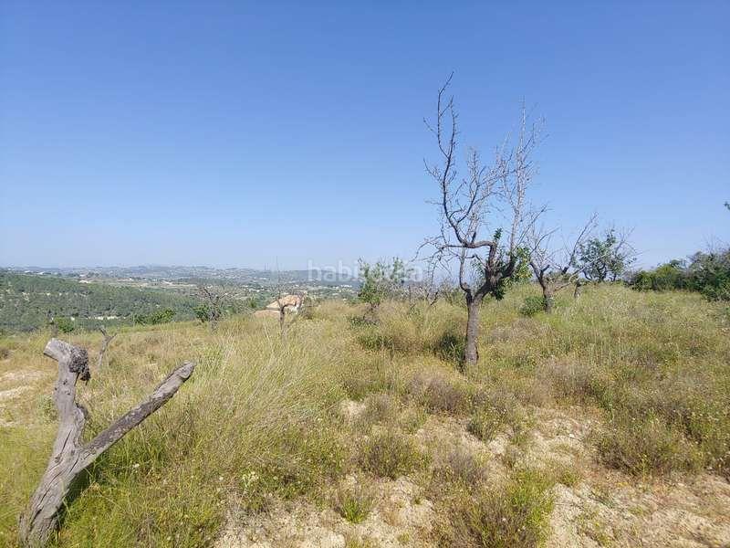 Foto 2c3e2c0d-0905-41a2-8f75-90616630780d. Rural plot in Benissa pueblo Benissa