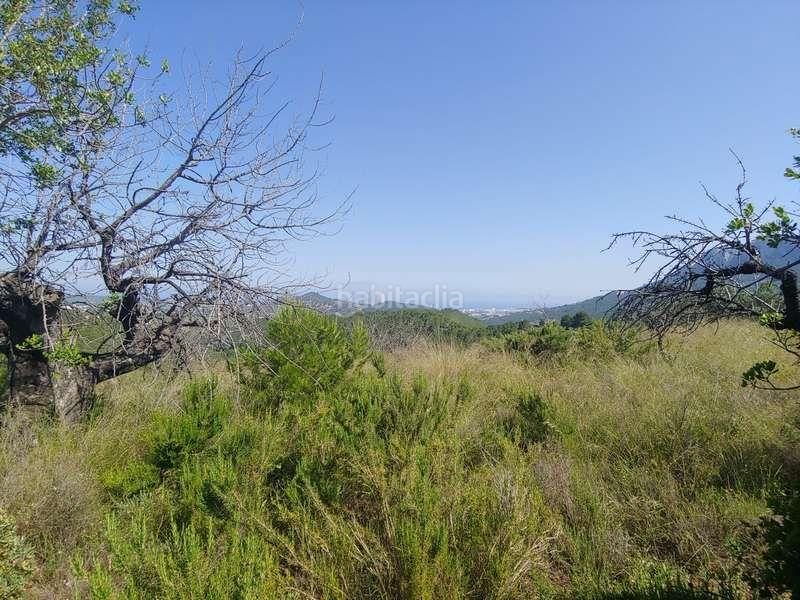 Foto 2fe46bcb-2fed-4508-b978-adc0fdd0bc80. Rural plot in Benissa pueblo Benissa