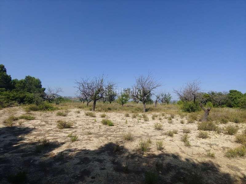 Foto 38d3341e-4fbb-48c0-81bc-0dc01030f6f5. Rural plot in Benissa pueblo Benissa
