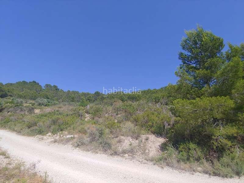 Foto 409b62c1-326c-4981-8960-9d5a4ea087df. Rural plot in Benissa pueblo Benissa