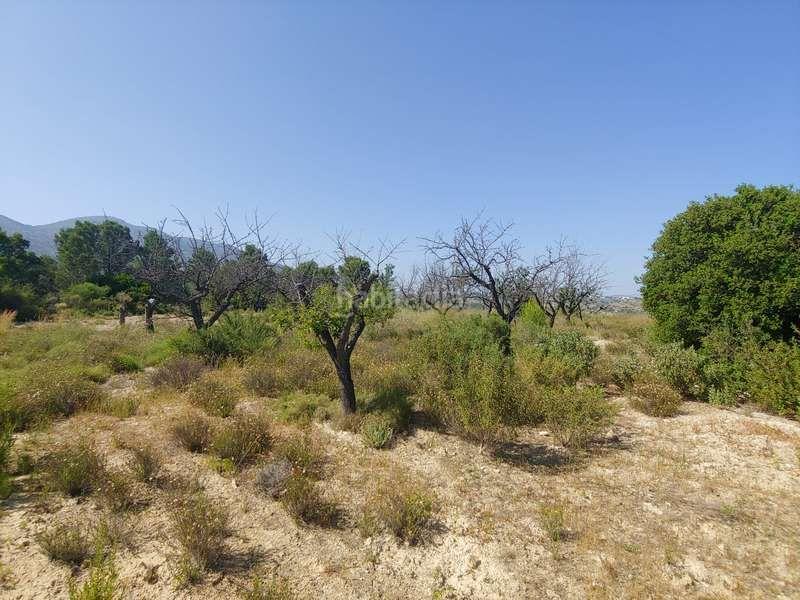 Foto 4133224a-9b5f-45a8-b468-d69cd72a04dd. Rural plot in Benissa pueblo Benissa