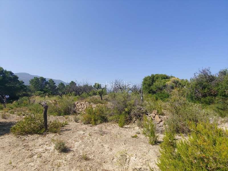 Foto de290ffa-9cf1-4964-adaa-725ddbe5c138. Rural plot in Benissa pueblo Benissa