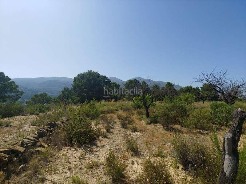 Foto e8252de2-276f-4bd8-a1e9-b39169f1f252. Rural plot in Benissa pueblo Benissa