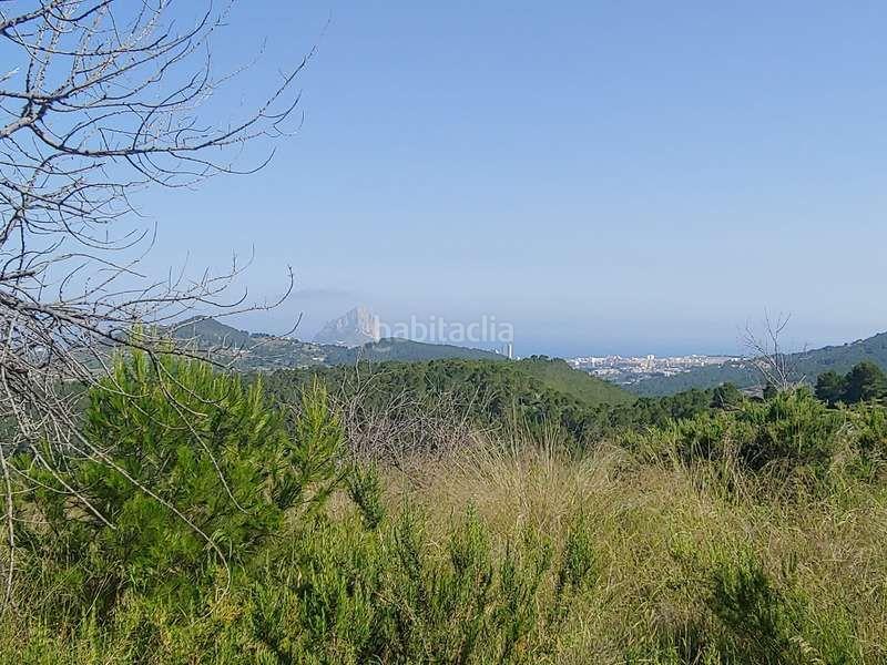 Foto ea980eb0-3c04-4ca2-8d58-fb445bd33794. Rural plot in Benissa pueblo Benissa