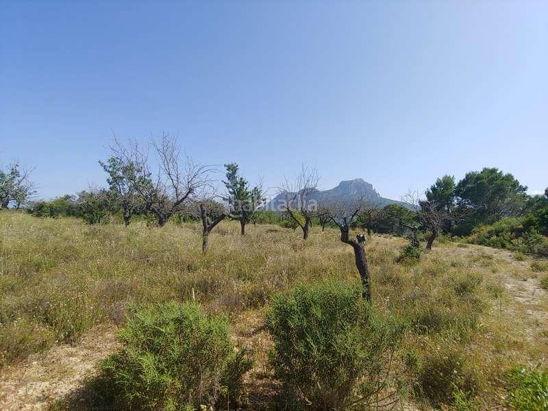 Foto f181d81a-72da-466b-9bcf-8722c9e650cf. Rural plot in Benissa pueblo Benissa