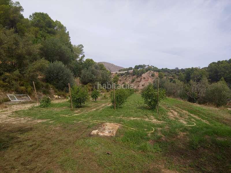 Foto d2fcfcbc-daac-4062-8307-52d5a857c4af. Masía en Callosa d´en Sarrià