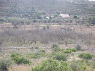 Finca rústica a Centro Ciudad