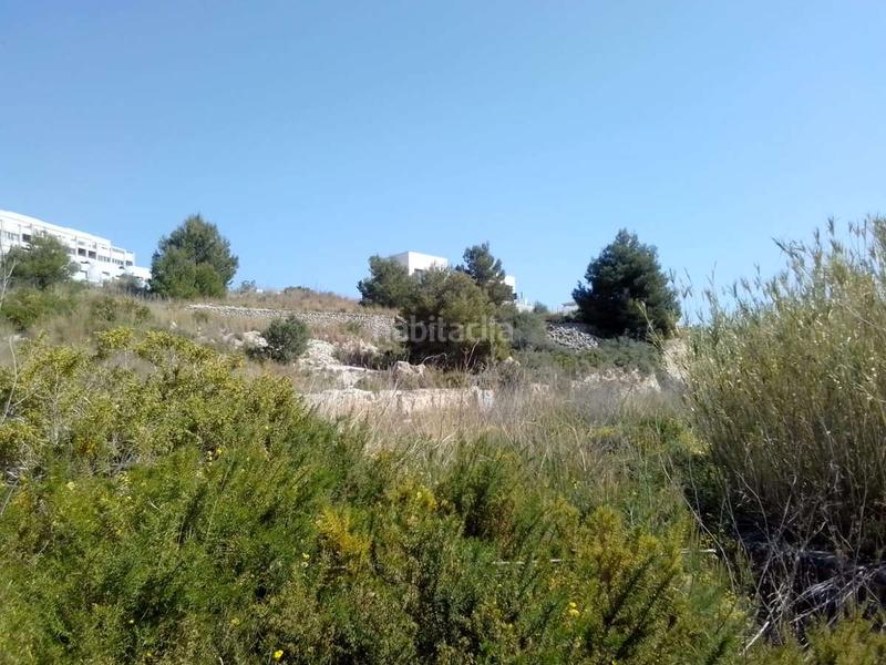 Foto 2301f2db-20c7-40ff-ba8b-b3d58371ebc5. Terreny residencial a Benissa pueblo Benissa