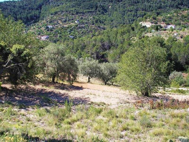 Foto aeb429ac-ec0e-459b-b8b7-53fa80bd4061. Terreno residenziale in Benissa pueblo Benissa