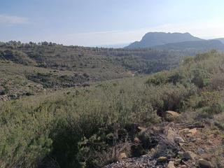 Terreno residenziale in Llíber