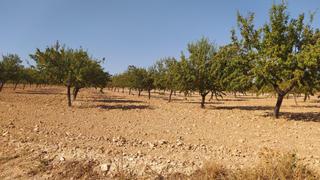 Finca rústica a Noblejas. Finca rústica productiva con pozo legal y placas solares  noblej