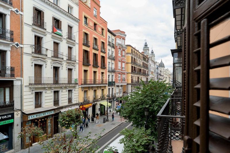 Foto eb8c6fa2-ad28-4378-83dc-8ce883b8c4fd. Rent flat in Sol Madrid