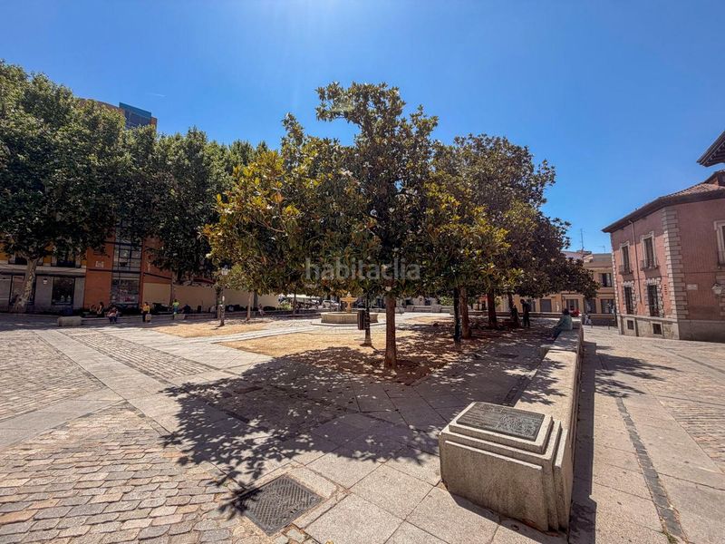 Foto 0f71e9d0-f8c4-4d23-919b-d34ab7642408. Pis a Palacio Madrid