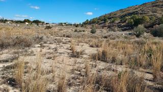Finca rstica en Diseminado moralet 25d