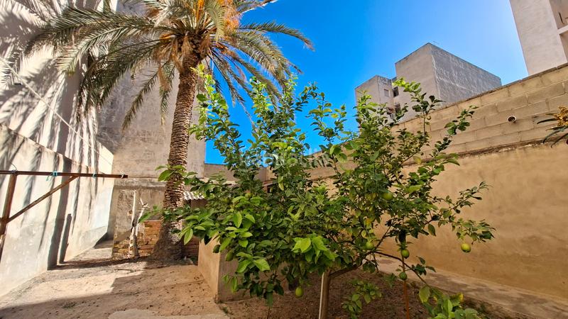 Foto 45064e5e-e380-4286-992b-e13985367a51. Semi detached house in Norte Sant Vicent del Raspeig