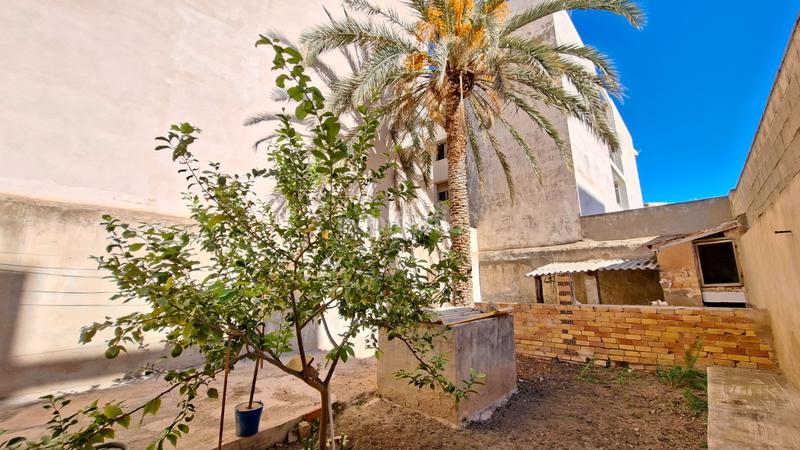 Foto 544097e8-c907-40a7-871e-b2f0bf72f04a. Semi detached house in Norte Sant Vicent del Raspeig