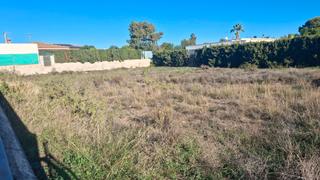 Residential Plot  Calle limoneros