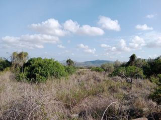 Finca rústica a Montgó - Ermita. Finca rústica agrícola vallada cerca del pueblo de jávea.