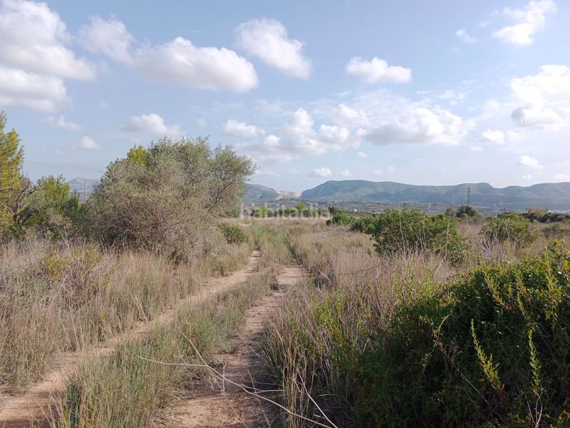 Foto b4080707-f52f-4298-937b-0d6f536e3494. Finca rústica a Montgó - Ermita Xàbia
