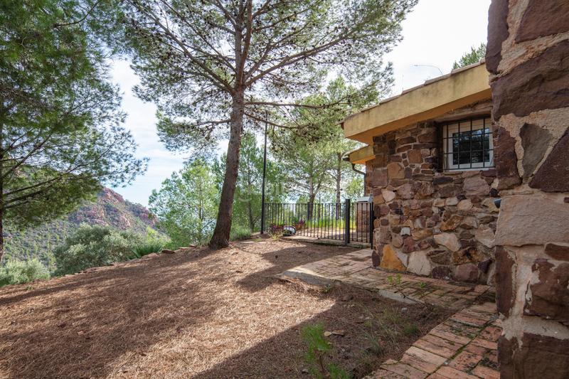 Foto 50a9b516-539c-4b34-b513-5cf84ecb2cb5. Casa amb piscina a Pueblo Benicasim / Benicàssim