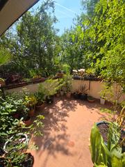 Àtic  Calle de borja. Magnífico ático  dúplex con terraza, 5 dormitorios y 2 baños.