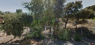 Finca rústica a Valdeaveruelo. Parcela bien situada en sotolargo