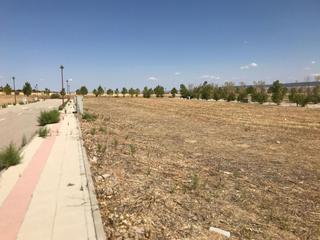 Finca rústica  Peralejos de las truchas. Parcela para chalet independiente en la zona nueva de cabanillas