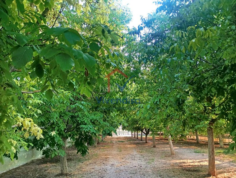 Foto 03e67940-f628-4e6e-aebc-a818fe3db1e8. Finca rústica a Horche