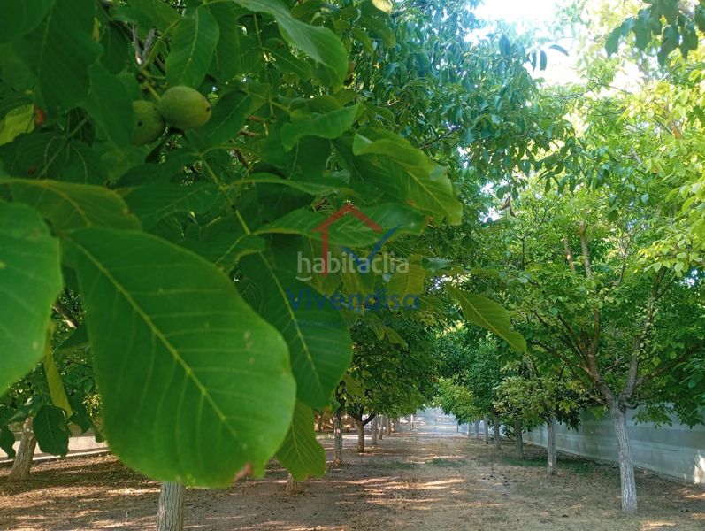 Foto 0d039266-480f-409e-b4bd-3c8858cf6287. Finca rústica a Horche