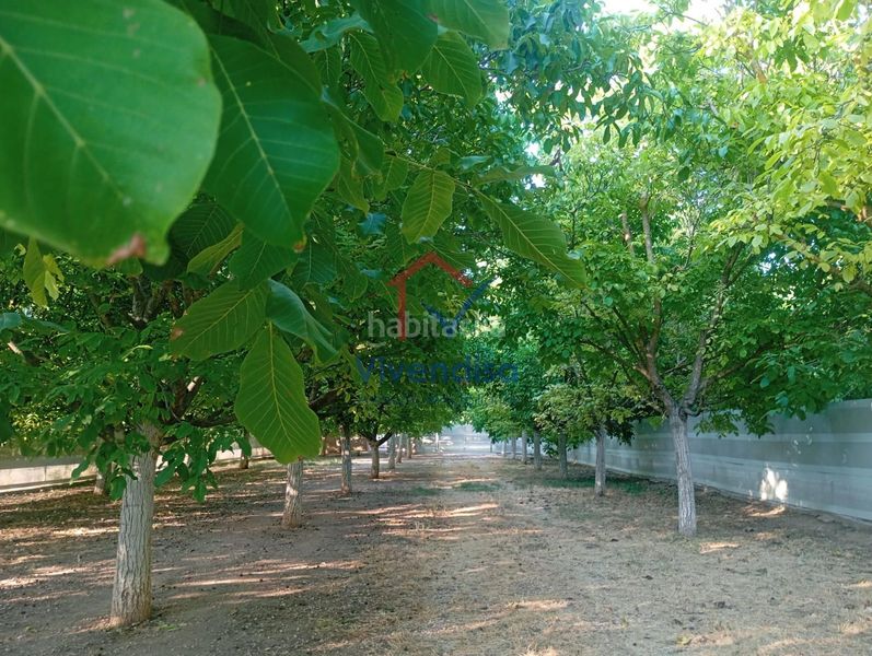 Foto 2f102900-9018-4576-a3b7-a7161b82ab79. Finca rústica a Horche