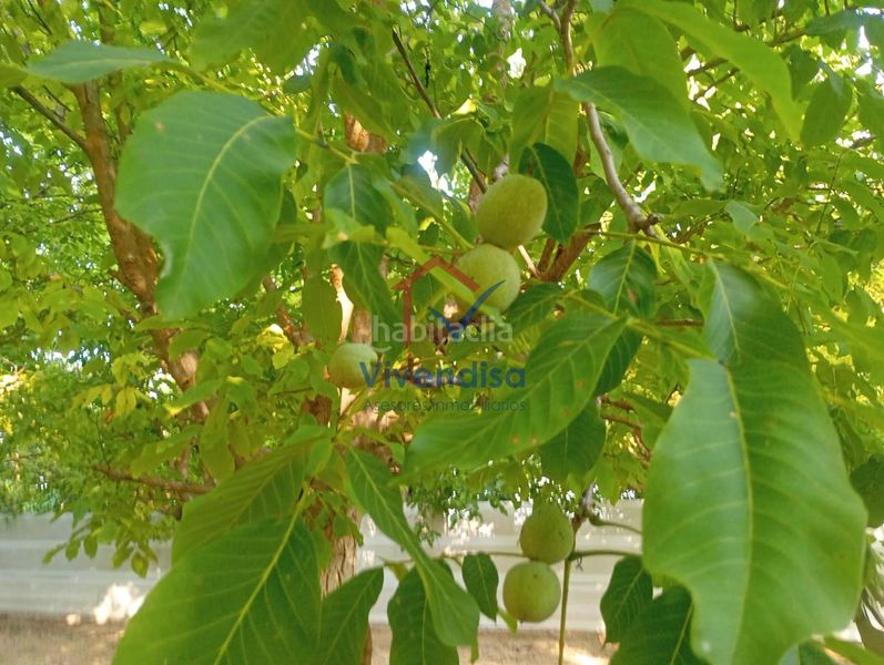 Foto 3b969e7f-3562-4db4-afe6-49cebf5a03e0. Finca rústica a Horche