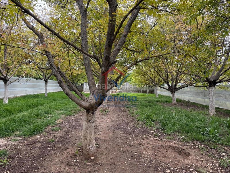 Foto 58a37adb-7101-49db-8d9b-f48bdf2cd600. Finca rústica a Horche