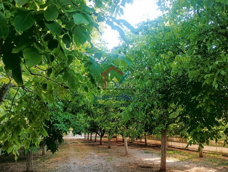 Foto 72403fbd-61c2-4840-a140-d70240fad95b. Finca rústica a Horche