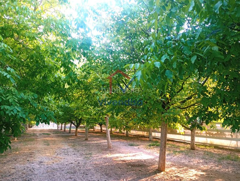 Foto 7c5b83f0-0d36-45a6-9579-6b3f2ab8f631. Finca rústica a Horche