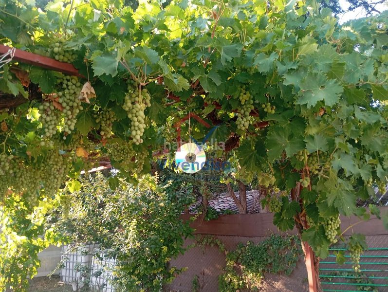 Foto 7ecc7d5d-0f93-4d71-adcd-551a4246e09c. Finca rústica a Horche