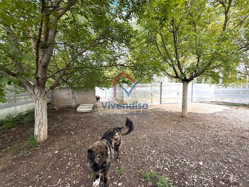 Foto 80082e83-cca8-43b3-9c2a-c7106d17bc8e. Finca rústica a Horche