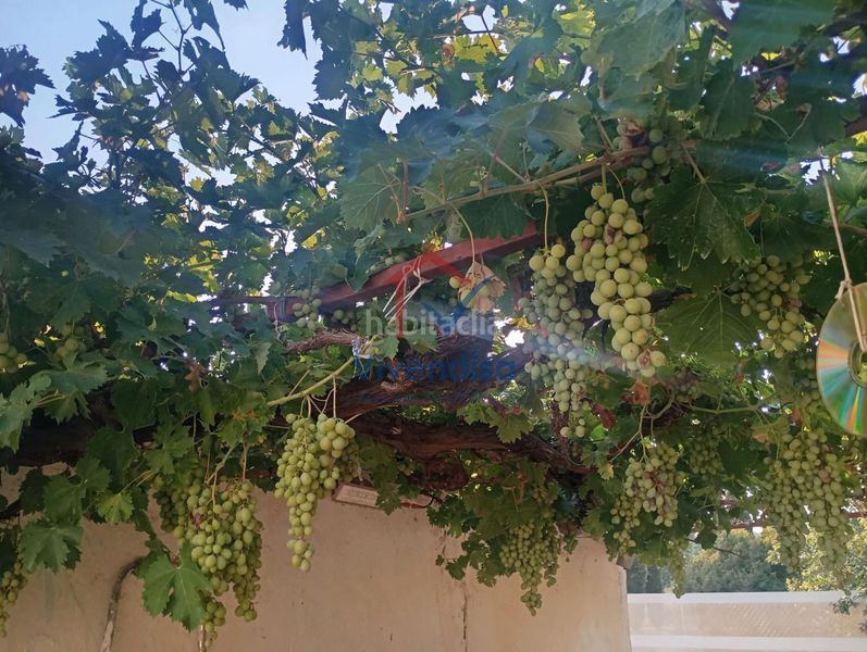 Foto 85ac05e4-1c92-4292-bc50-cf84b03ad0cc. Finca rústica a Horche