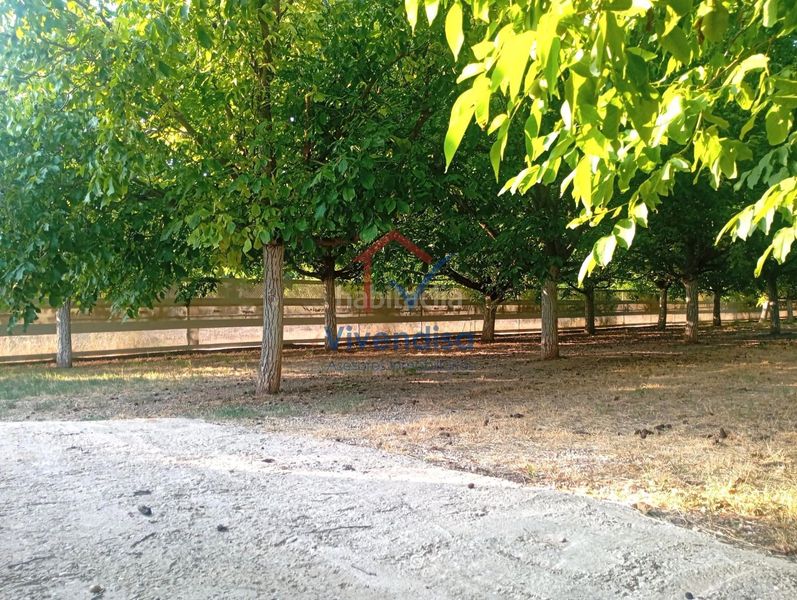 Foto b5154e8f-b652-48d8-ba6d-be772cfe35d1. Finca rústica a Horche